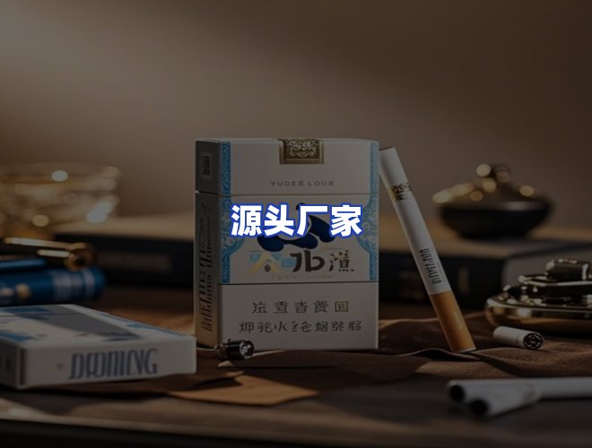 专业团队